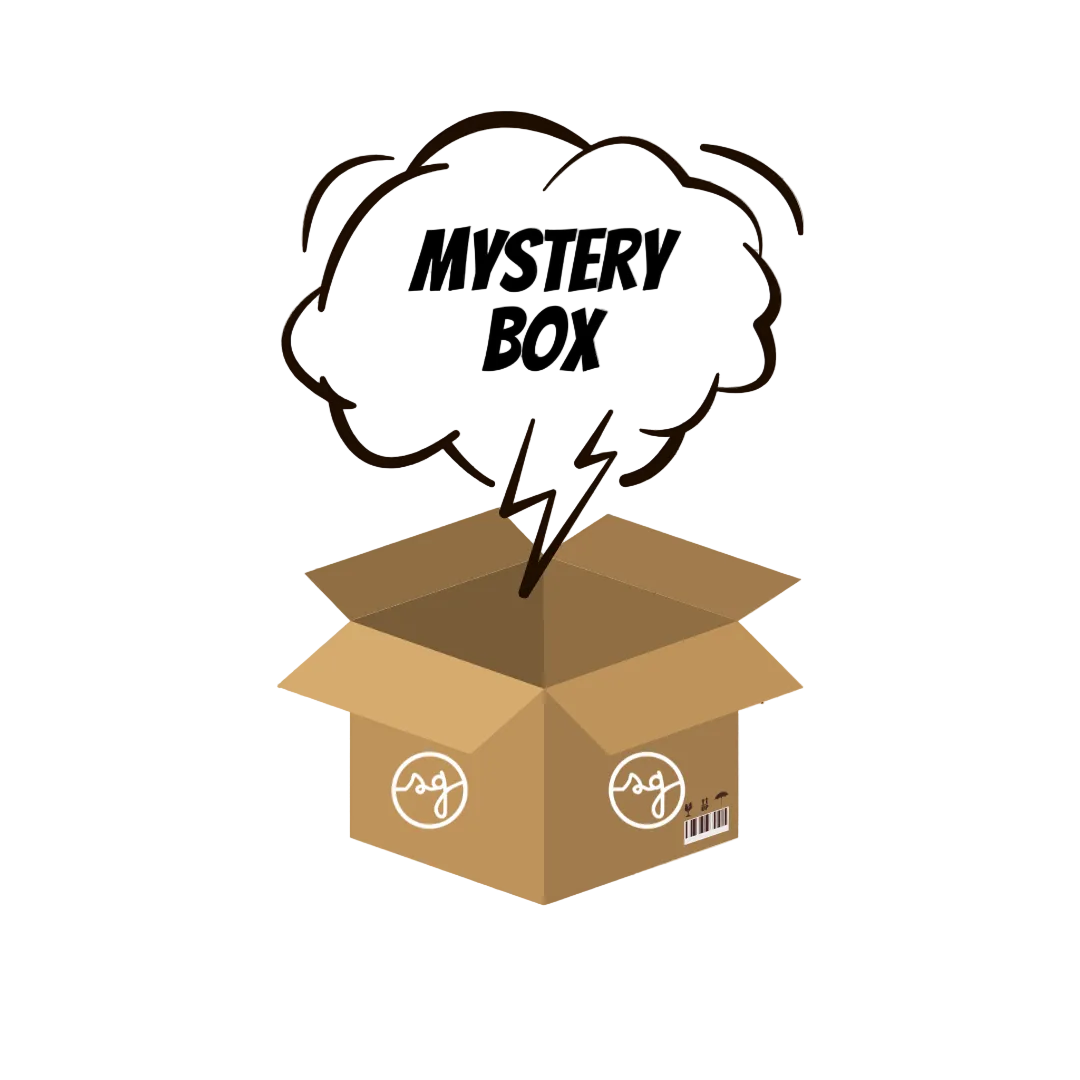 The Hoodie Mystery Box (1 hoodie and 1 hat)